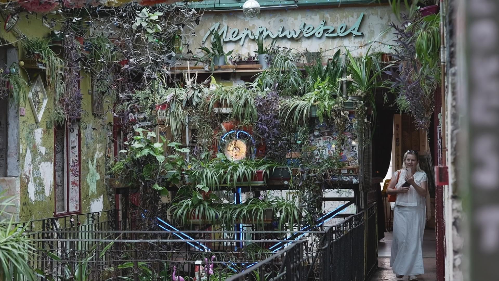 Pflanzen in Ruinen-Bar