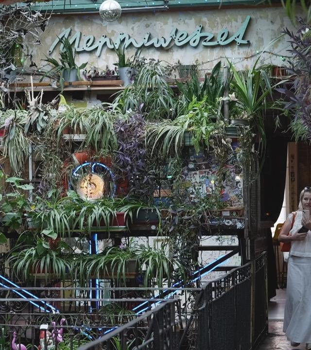 Pflanzen in Ruinen-Bar