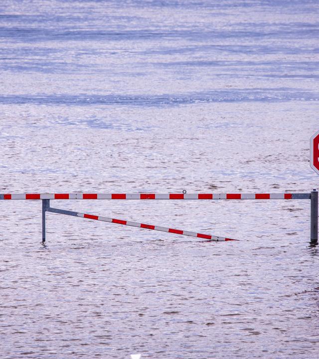 Stopschild in Flut 