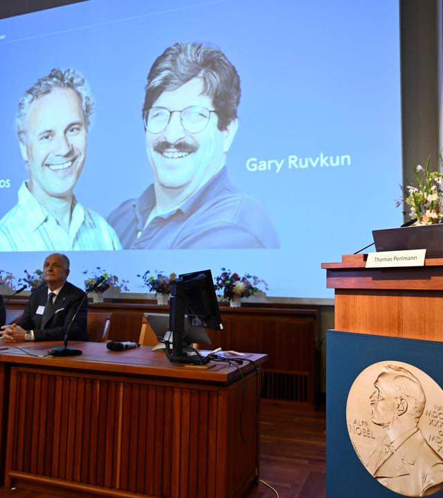 Die Nobelpreisträger sind bei der Bekanntgabe im Hintergrund auf einer Leinwand zu sehen.