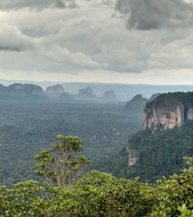 Nationalpark Chiribiquete