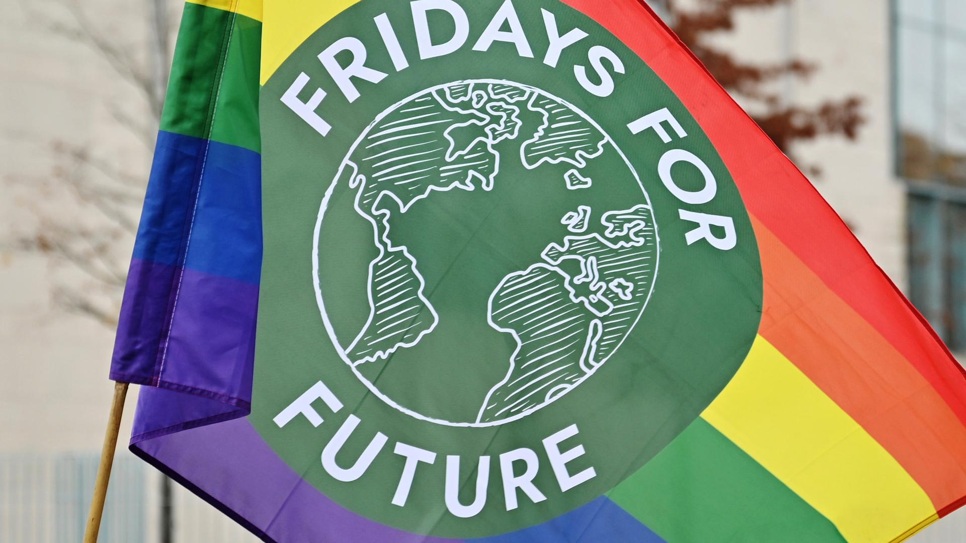Fahne "Fridays for future"