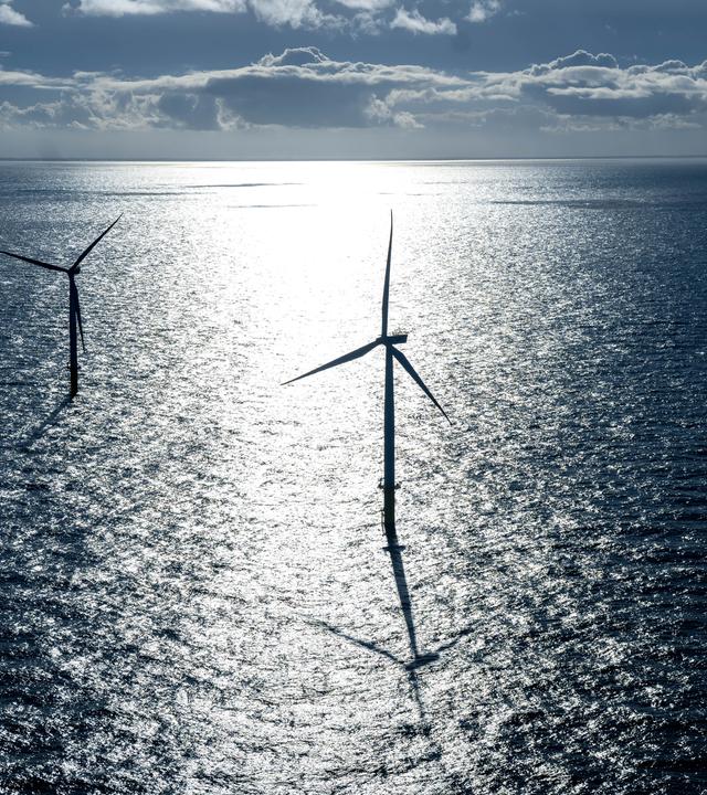 Windpark im Meer