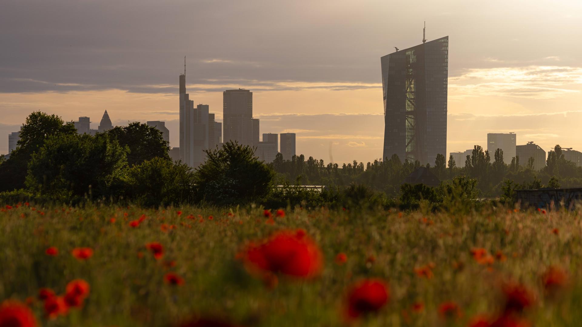 Die Europäische Zentralbank (EZB) in Frankfurt am Main