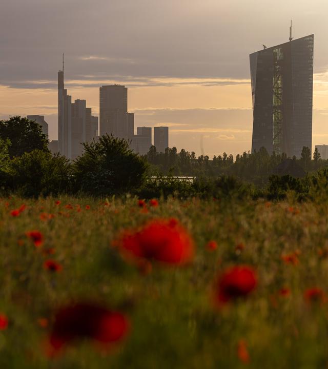 Die Europäische Zentralbank (EZB) in Frankfurt am Main