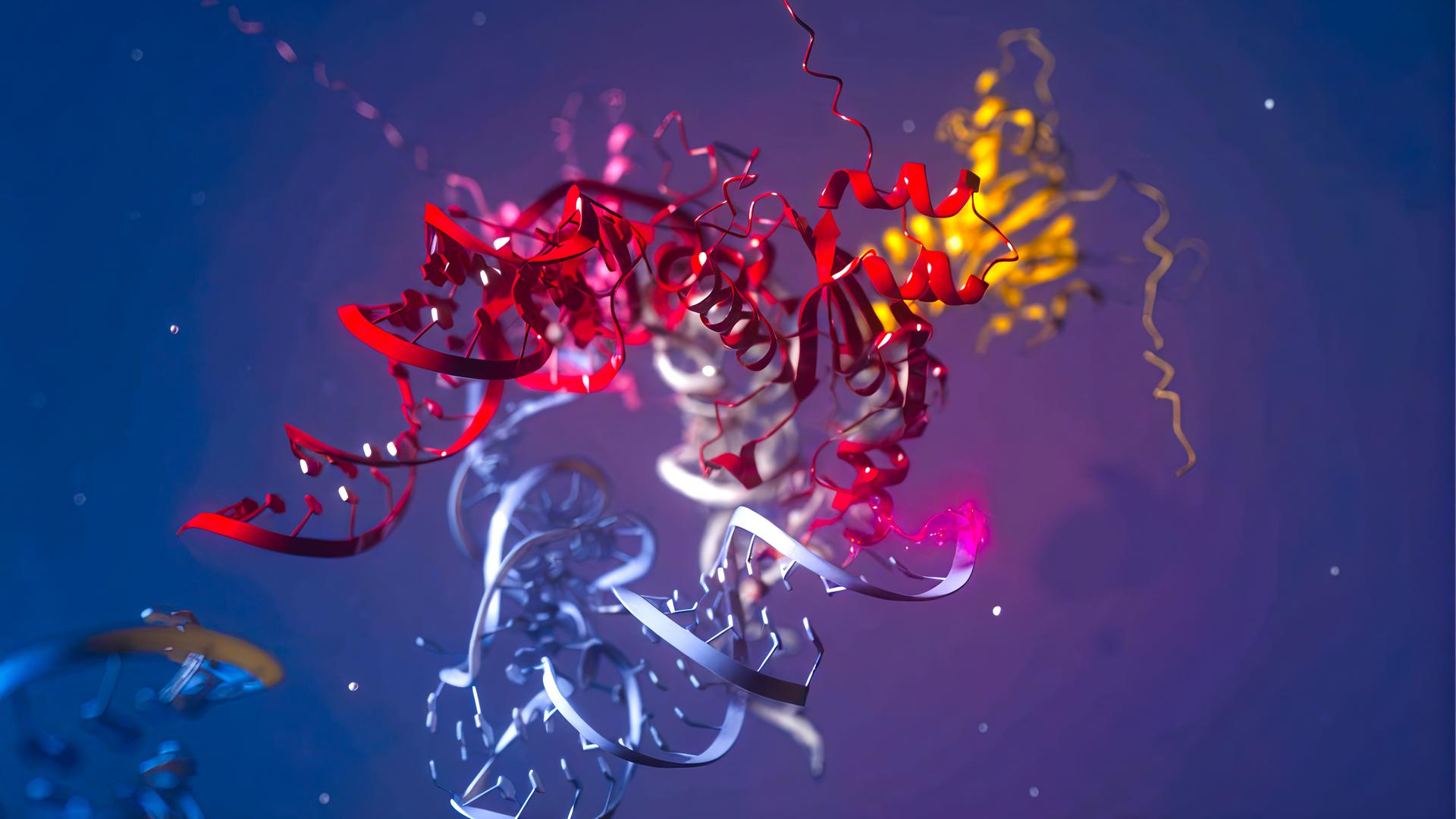 Grafische Darstellung eines Proteins, bestehend aus miteinander verschlungenen Aminosäureketten.