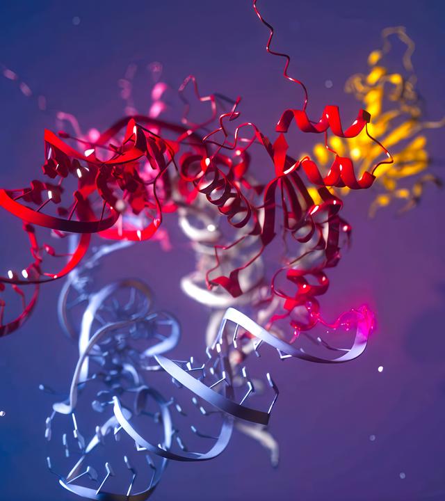 Grafische Darstellung eines Proteins, bestehend aus miteinander verschlungenen Aminosäureketten.