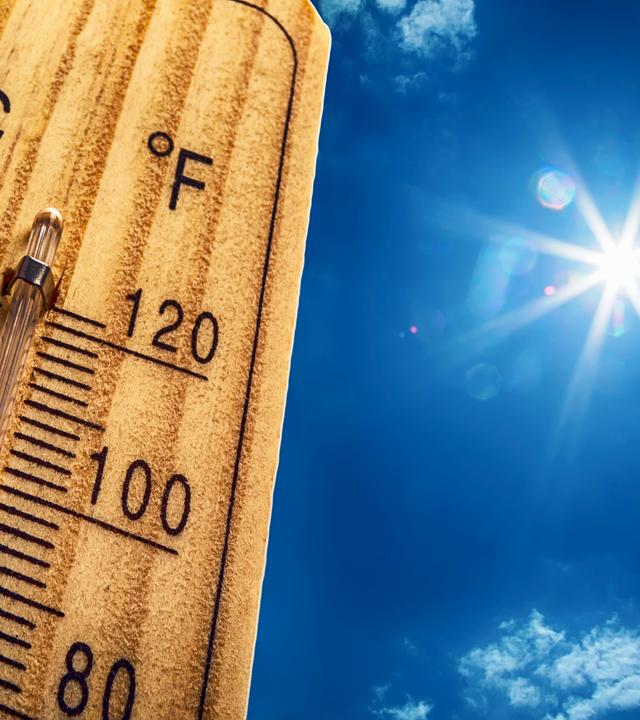Thermometer 
