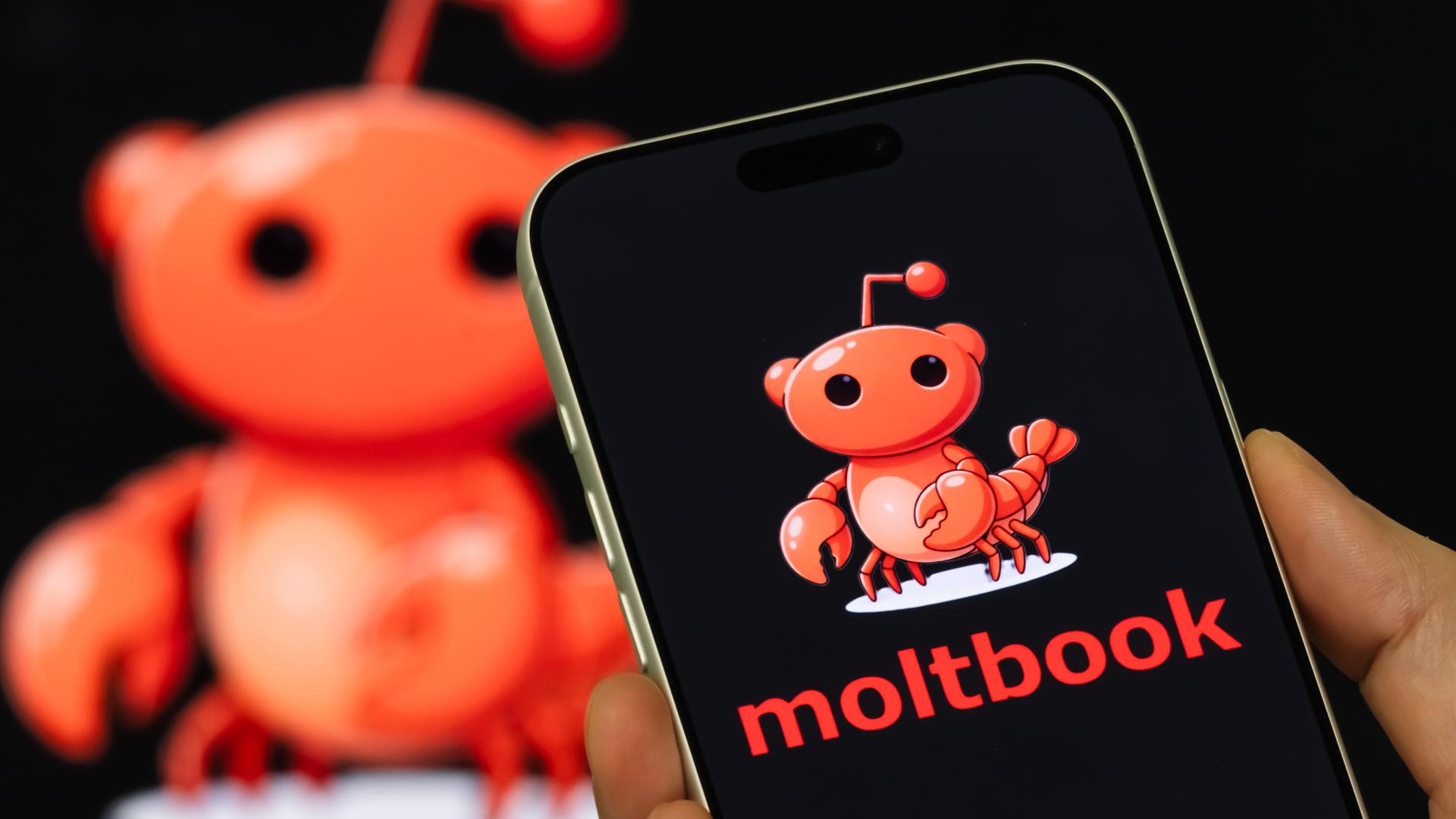 Moltbook vernetzt 1,6 Mio. KI-Bots, die selbstständig agieren und Daten teilen. Ein digitales Paralleluniversum ohne Kontrolle? (Auf dem Bild ist das Logo "Moltbook" auf einem Handy zusehen. HIntergrund zeigt verschwommene Webseite.)