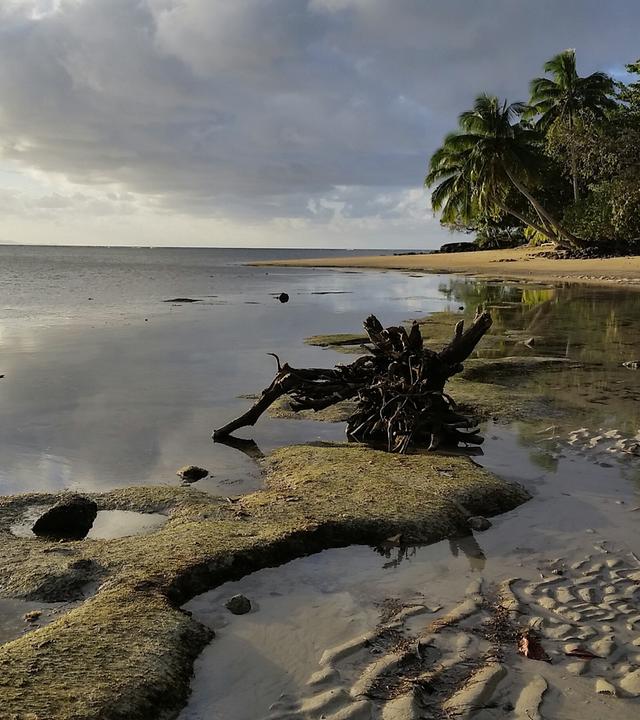Paradiese im Pazifik wie Tuvalu und Fidschi sind bedroht. Globale Lösungen werden auf der Hamburger Nachhaltigkeitskonferenz diskutiert.
