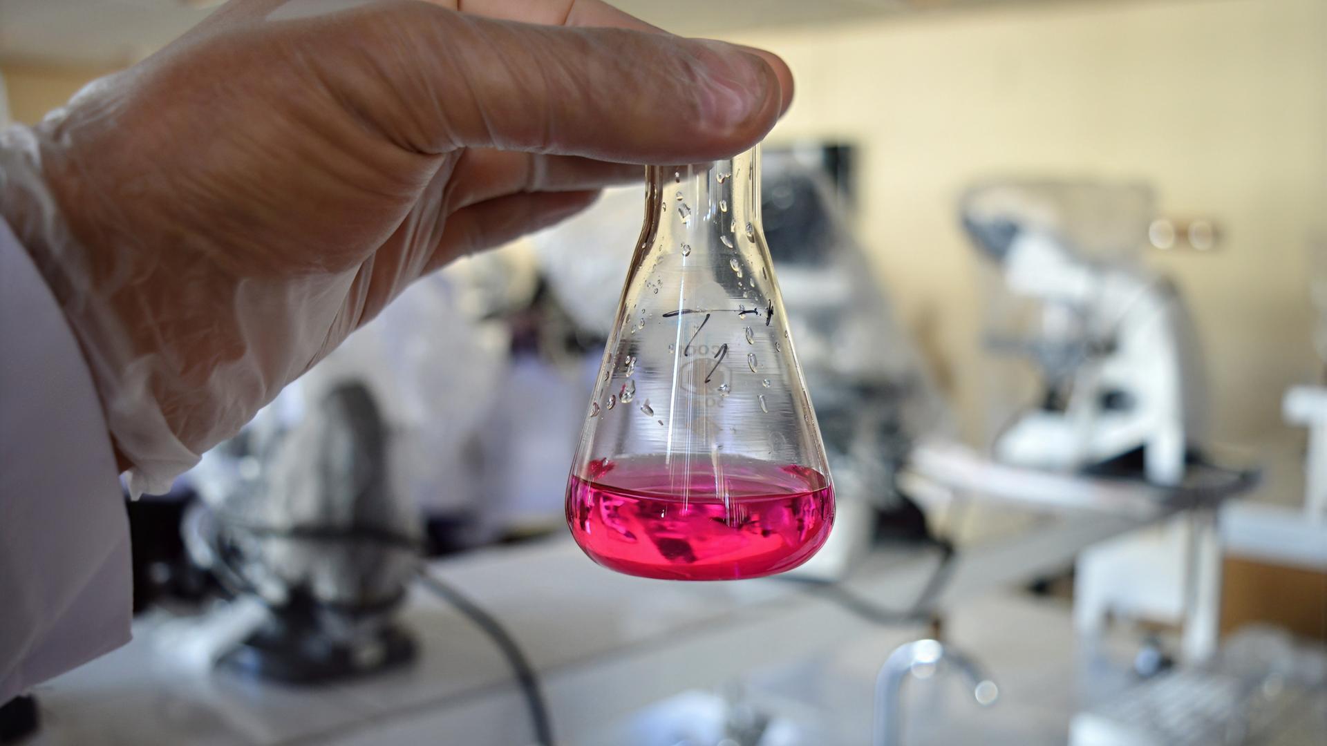 Reagenzglas mit Flüssigkeit in einer Hand