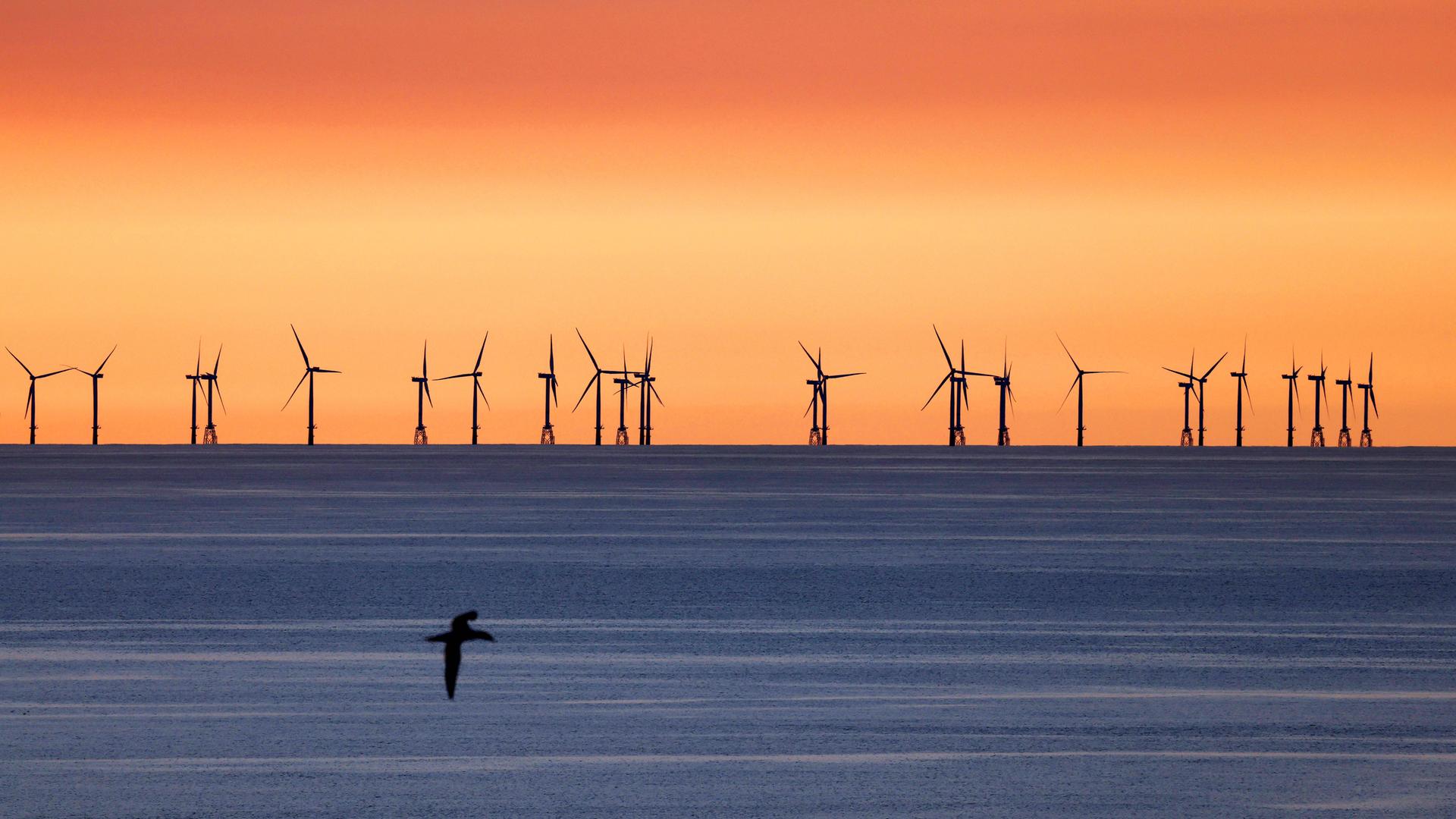 Off-shore Windpark