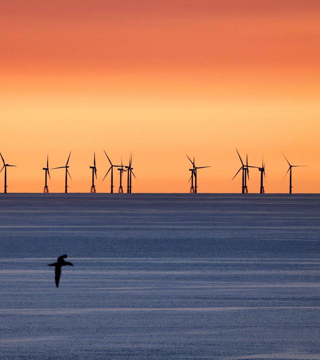 Off-shore Windpark
