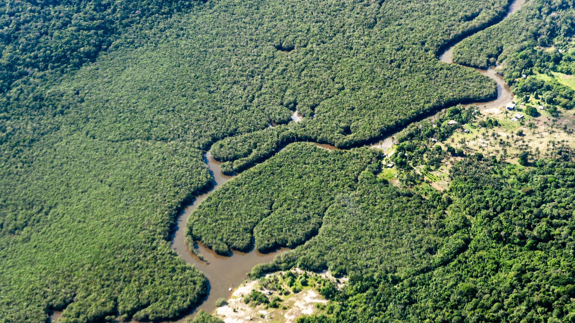 Amazonas-Regenwald: Brände, Abholzung und Dürre setzen zunehmend CO2 frei und gefährden die grüne Lunge unseres Klimas.