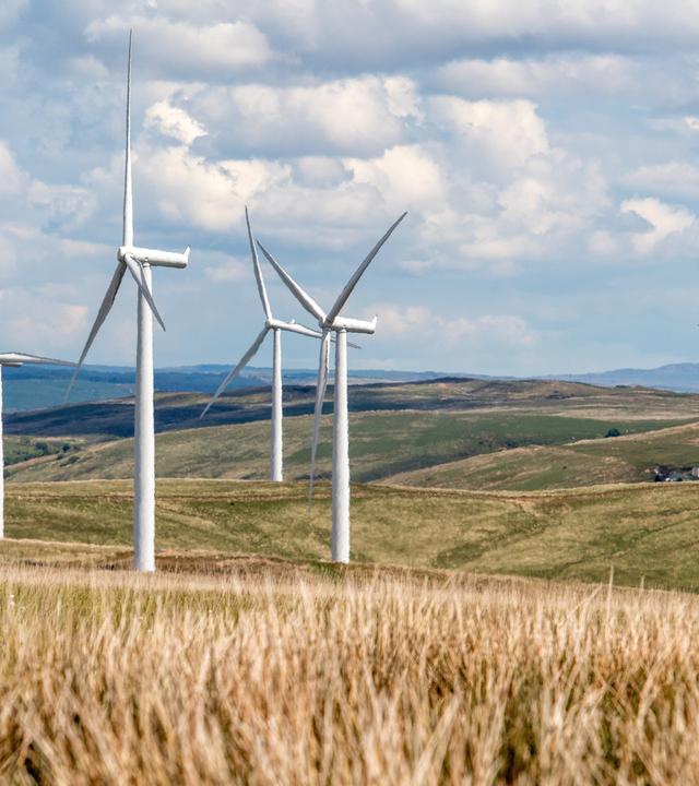 Klimaschutz-Index: Obwohl die Zeit drängt: Im neuen Ranking bleiben die ersten drei Plätze unbesetzt. Kein Land macht genug. (Das Bild zeigt im Vordergrund vier WIndräder)