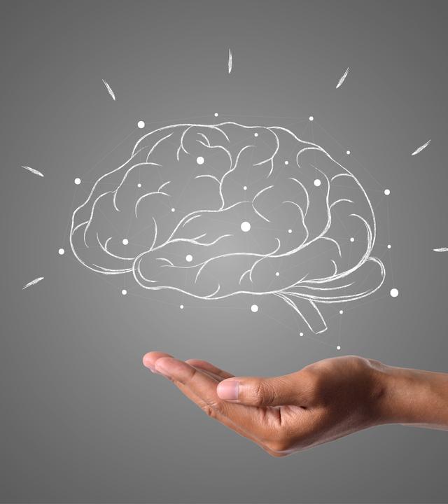 Wenn hemmende Zellen ausfallen, gibt es keine Kontrolle mehr über die Signalweitergabe im Gehirn. Das könnte erklären, wie Erinnerungen entstehen. Auf dem Bild ist eine Grafik eines Gehirns das über einer Hand schwebt zu sehen