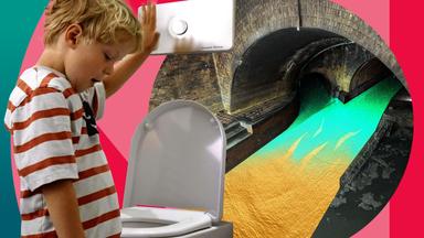 NANO Doku: Flüssiges Gold – Was steckt im Abwasser?