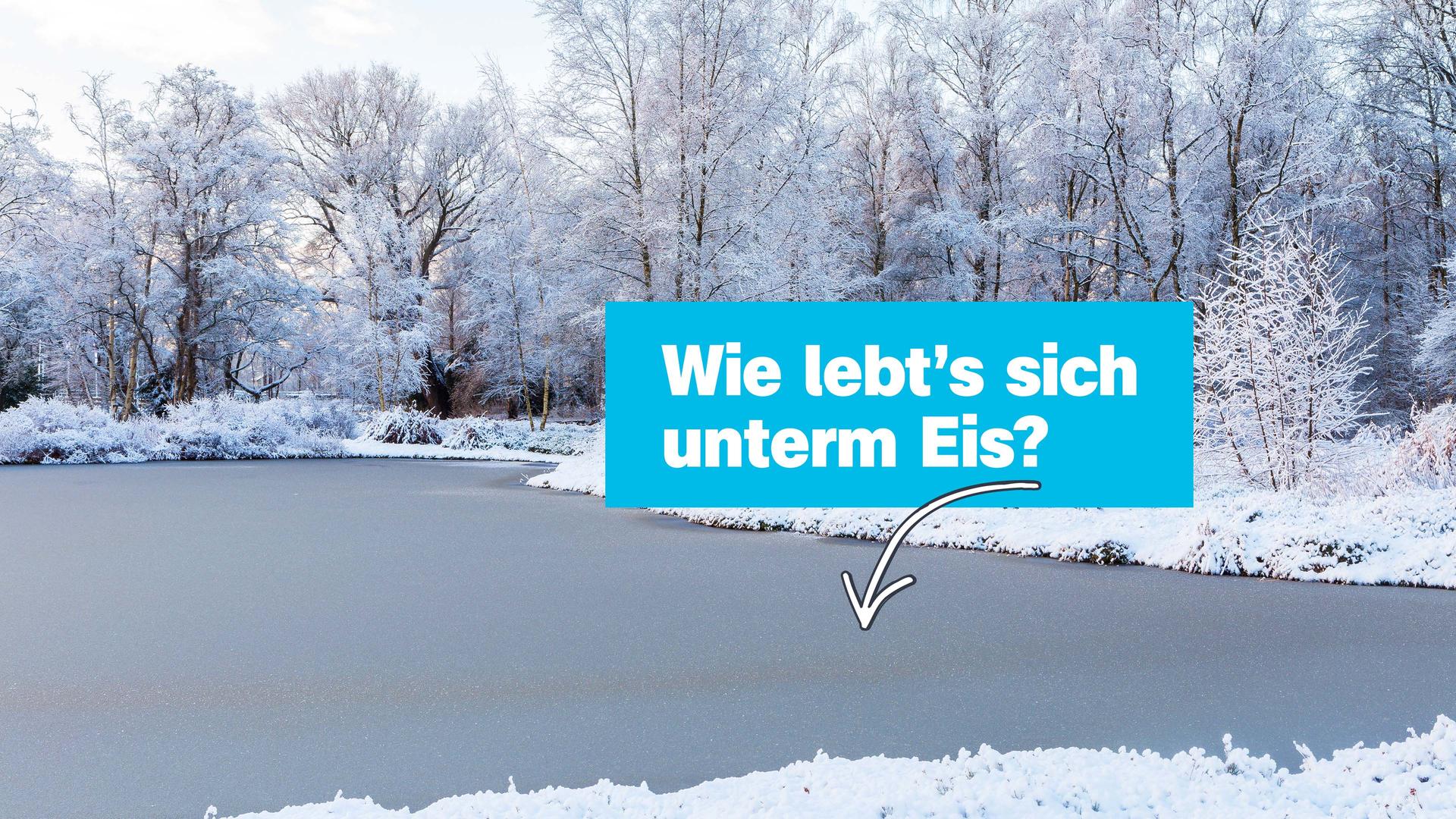 Gefrorener See in Winterlandschaft, darauf Schrift "Wie let's sich unter'm Eis" mit Pfeil