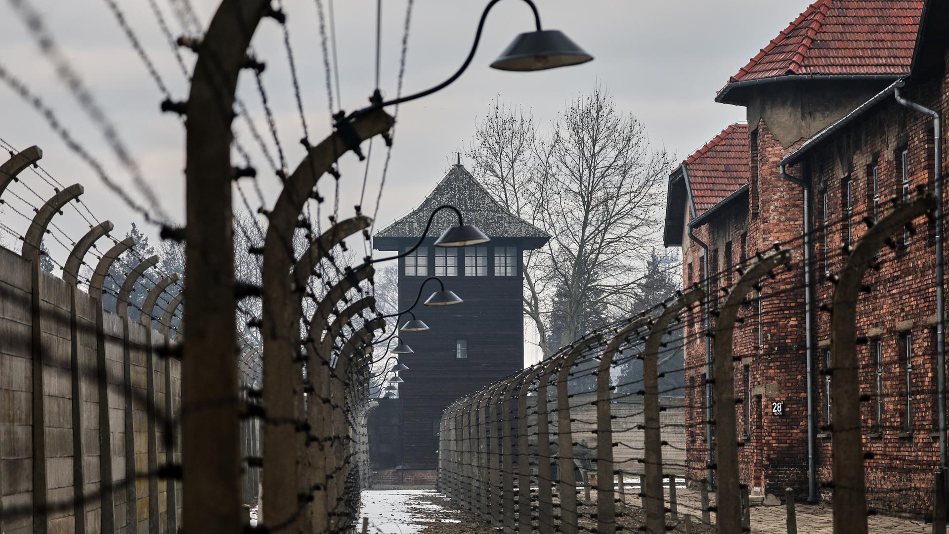 Die KI von Yad Vashem wertet Millionen Archivdokumente aus, um bislang unbekannte Holocaust-Opfer zu identifizieren. (Bild: Auschwitz Gedenkstätte)