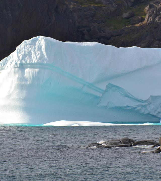 Eis schmilzt, Permafrost setzt Methan frei, der Amazonas verliert Stabilität. Kipppunkte könnten wie Dominosteine kippen. (Bild zeigt einen EIsberg)