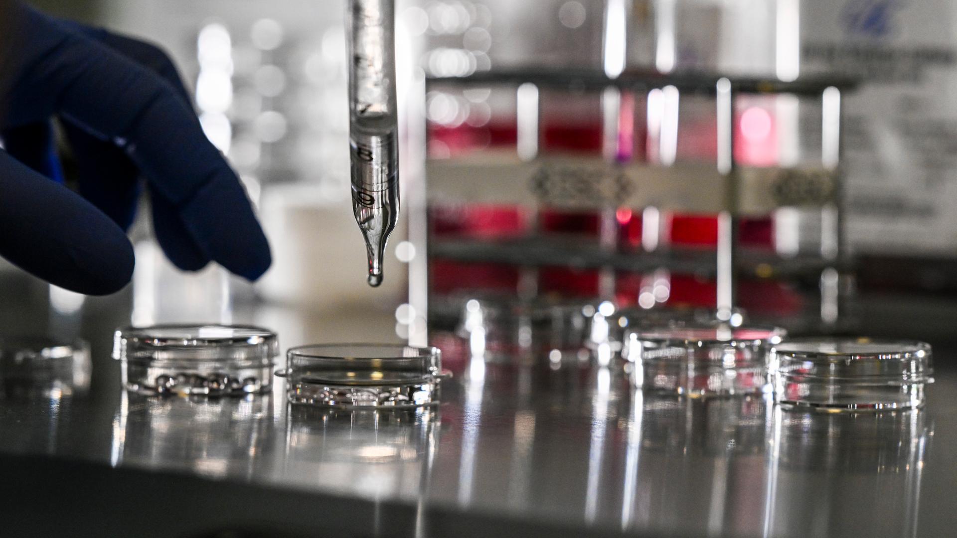 Kinderwunsch‑Durchbruch: Erste Tage im Labor nachgestellt. Forschende entschlüsseln frühe Prozesse nach der Befruchtung. ( Bild zeigt ein Zellabor für künstliche Befruchtung)