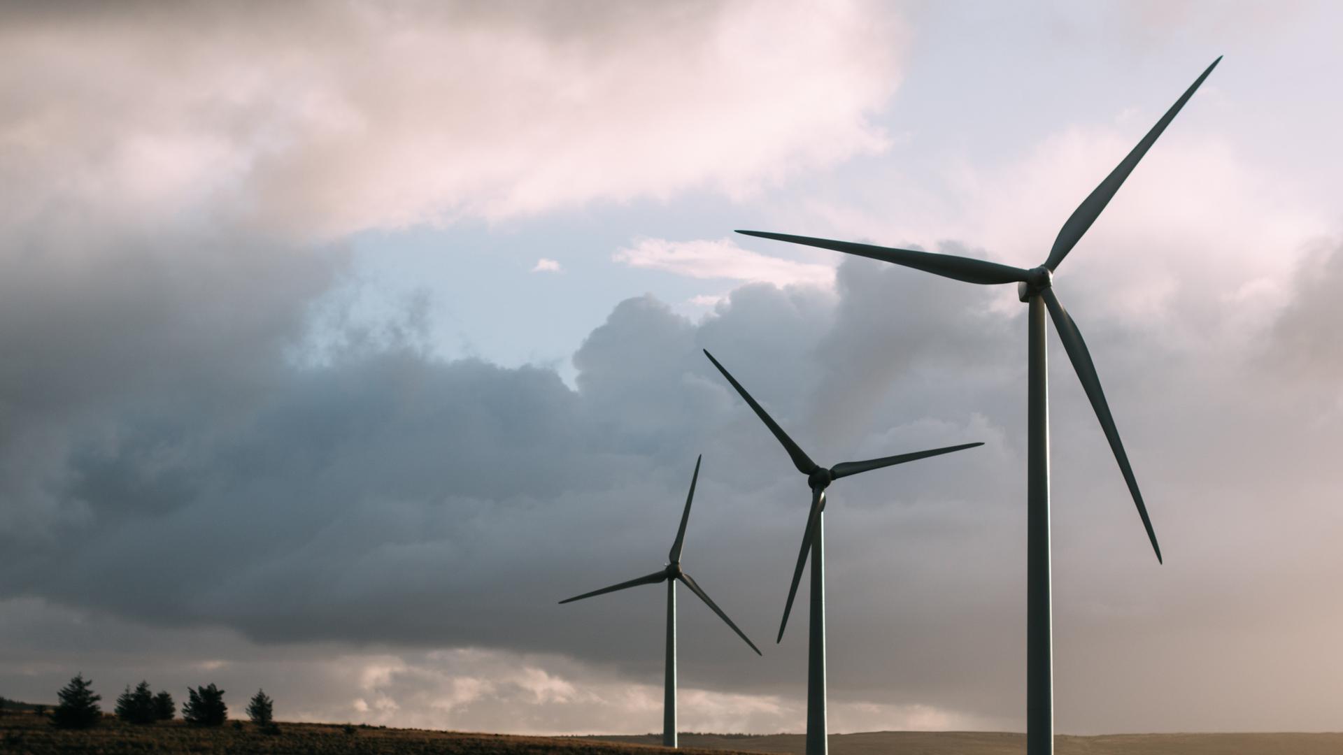 Die Regierung will das Stromnetz entlasten und plant ein neues Netzpaket für Wind und Solar. Weniger Entschädigung, mehr Kosten für Betreiber. ( Bild zeigt Windräder auf einem Feld)