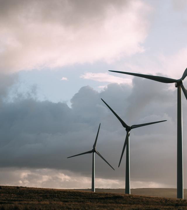 Die Regierung will das Stromnetz entlasten und plant ein neues Netzpaket für Wind und Solar. Weniger Entschädigung, mehr Kosten für Betreiber. ( Bild zeigt Windräder auf einem Feld)