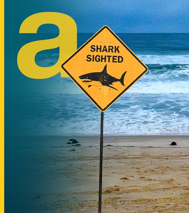 Zwei gelbe Schilder, die an einem Strand stehen: Auf dem einen steht "Shark Sighted" mit einem Hai-Symbol, auf dem anderen steht "Beach Closed".