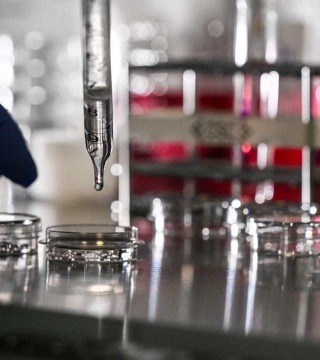 Chinas Biotech-Boom verspricht innovative Krebsmittel zu fairen Preisen. (Bild zeigt eine Szene im meizinischen Labor)