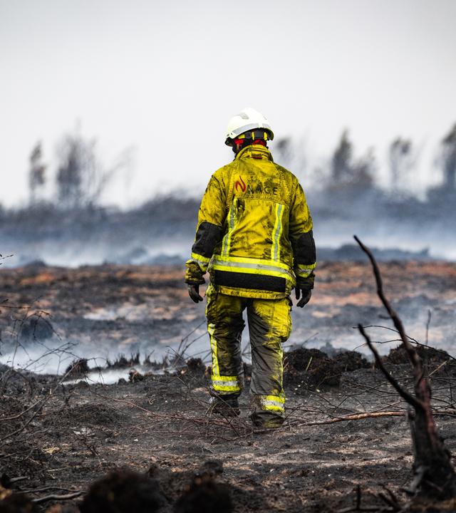 Extreme Feuer - aktuell in Belgien - hielten gleich europäische Länder in Atem .Tausende mussten vor den  Flammen fliehen. Werden solche Brände in Zukunft häufiger?