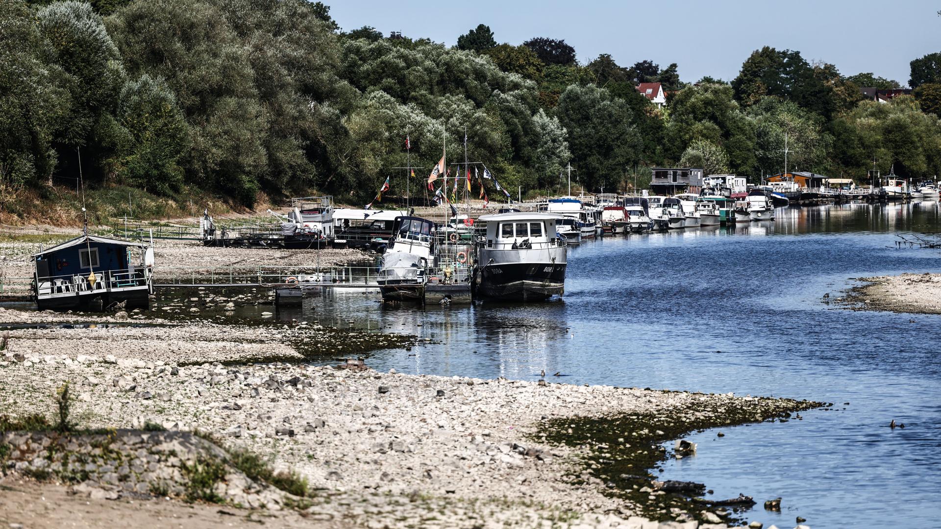 Niedrigwasser: Der Rhein wird zum Rinnsal. Nur ein Sommerausrutscher? NANO hakt nach.