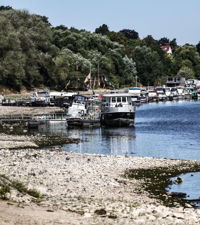 Niedrigwasser: Der Rhein wird zum Rinnsal. Nur ein Sommerausrutscher? NANO hakt nach.