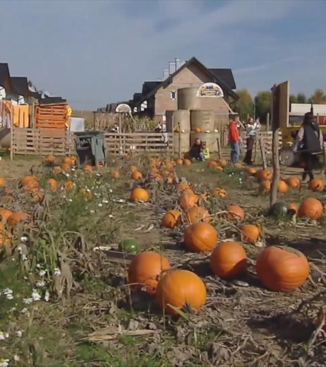 heute in Europa vom 23.Oktober 2026