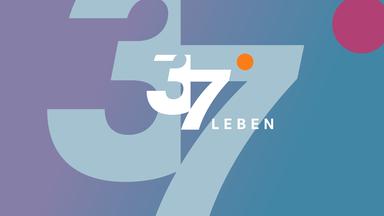 37 Grad Leben
