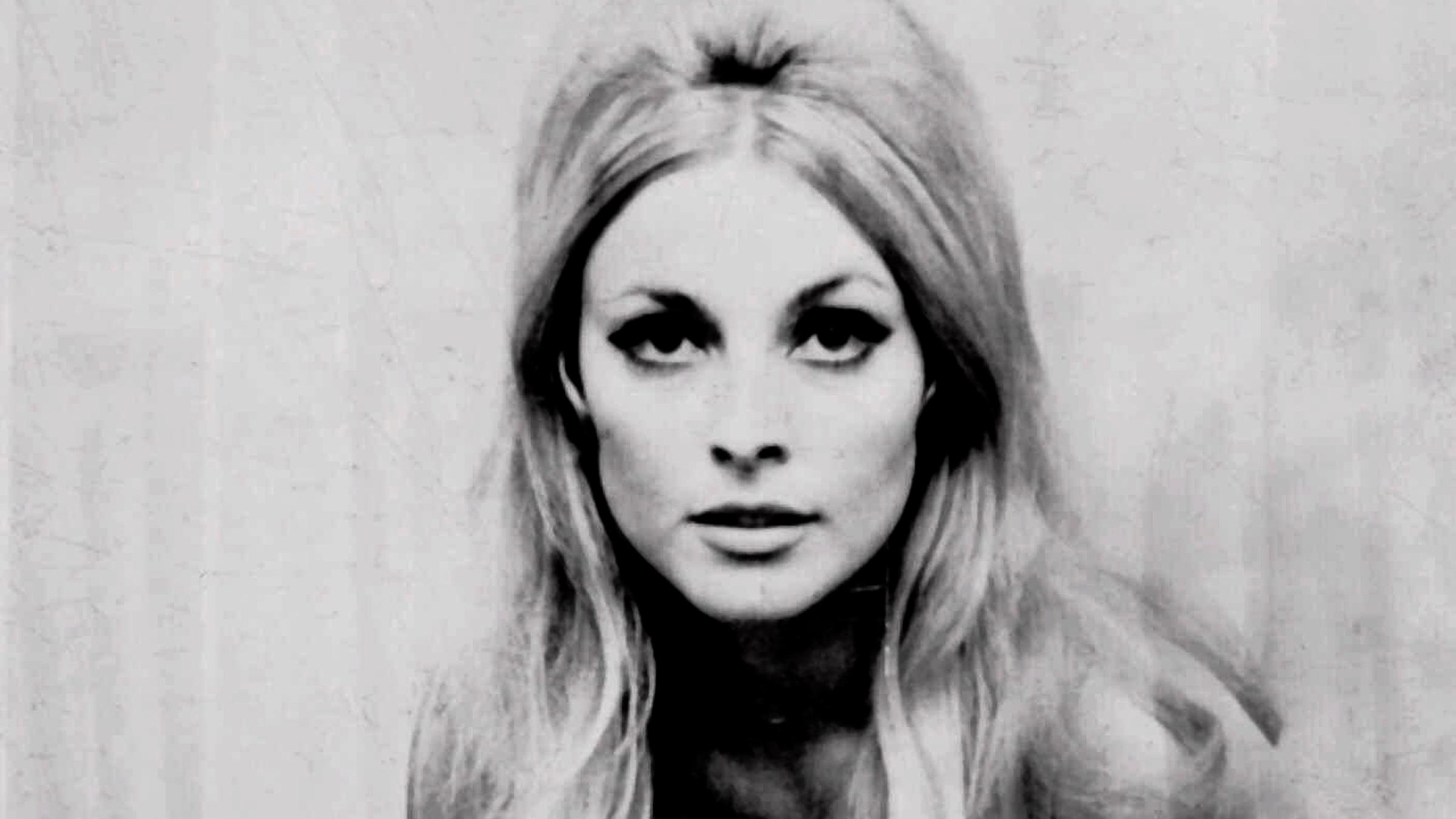 Sharon Tate, aufgenommen am 09.08.1969 in den USA
