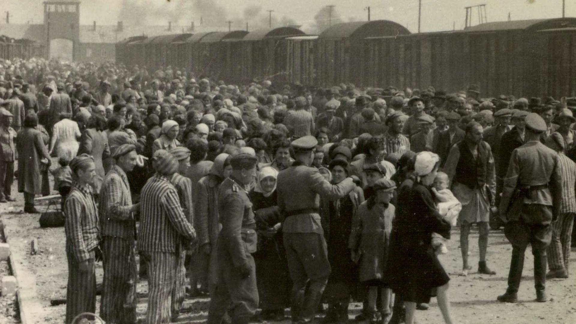 Ein Tag in Auschwitz