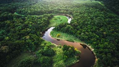 Der Flusslauf des Amazonas schlängelt sich durch ein von Regenwald bewachsenes Tal in Brasilien.