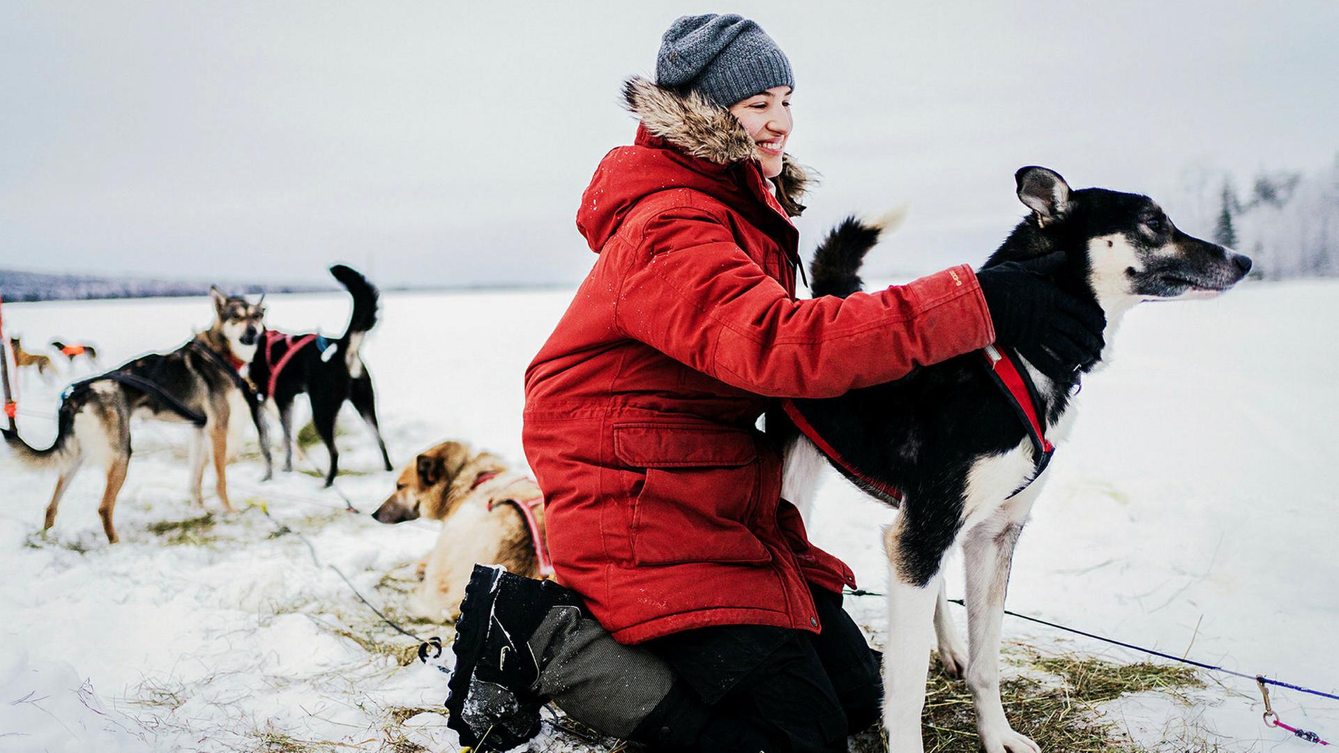 Eine Streicheleinheit für die Huskys von Martina Schweizer