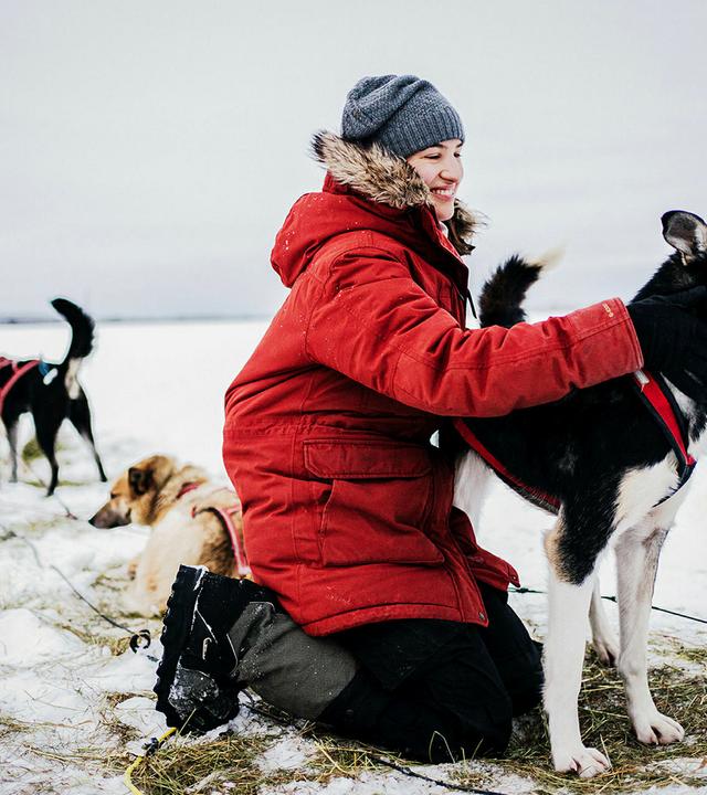 Eine Streicheleinheit für die Huskys von Martina Schweizer