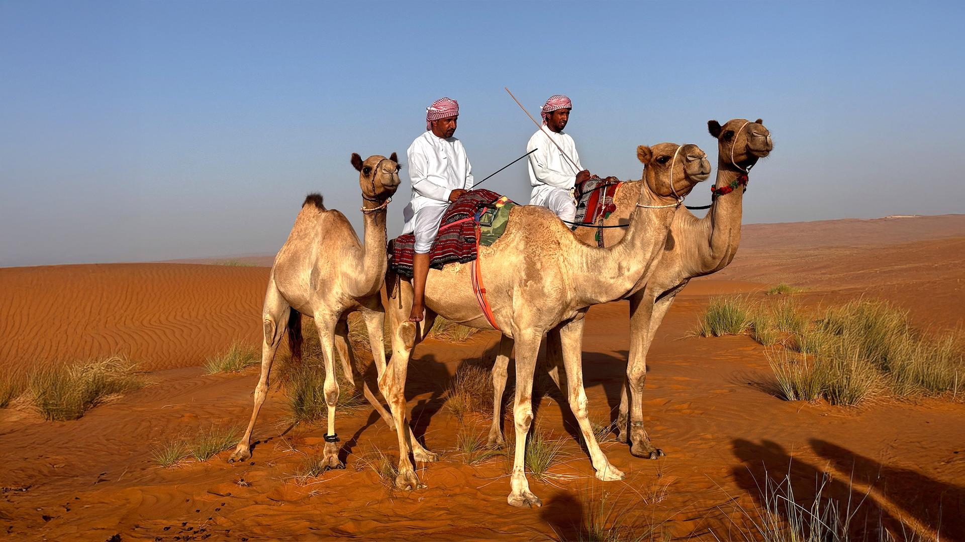 Zwei Männer in traditioneller Kleidung reiten auf Kamelen durch eine weite Wüstenlandschaft mit rotem Sand und spärlichem Grasbewuchs unter blauem Himmel.