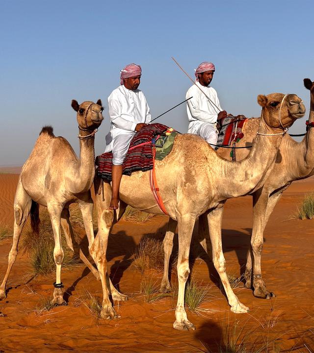 Zwei Männer in traditioneller Kleidung reiten auf Kamelen durch eine weite Wüstenlandschaft mit rotem Sand und spärlichem Grasbewuchs unter blauem Himmel.