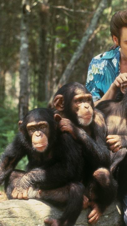 Ace Ventura - Jetzt wird's wild