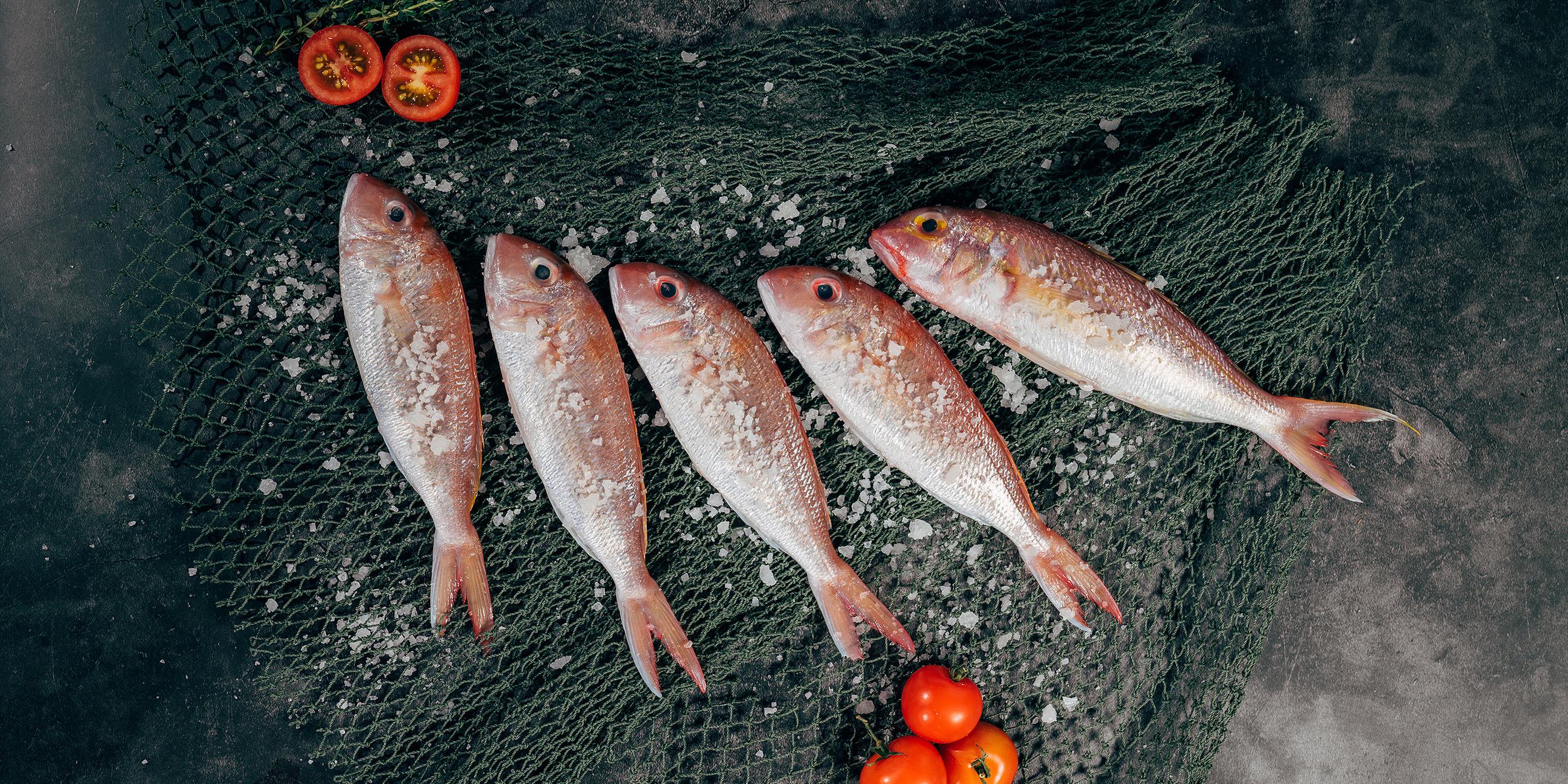 Köpfe von frischem Fangfisch neben frischen Tomaten in Scheiben und mit grobem Salz bestreut
