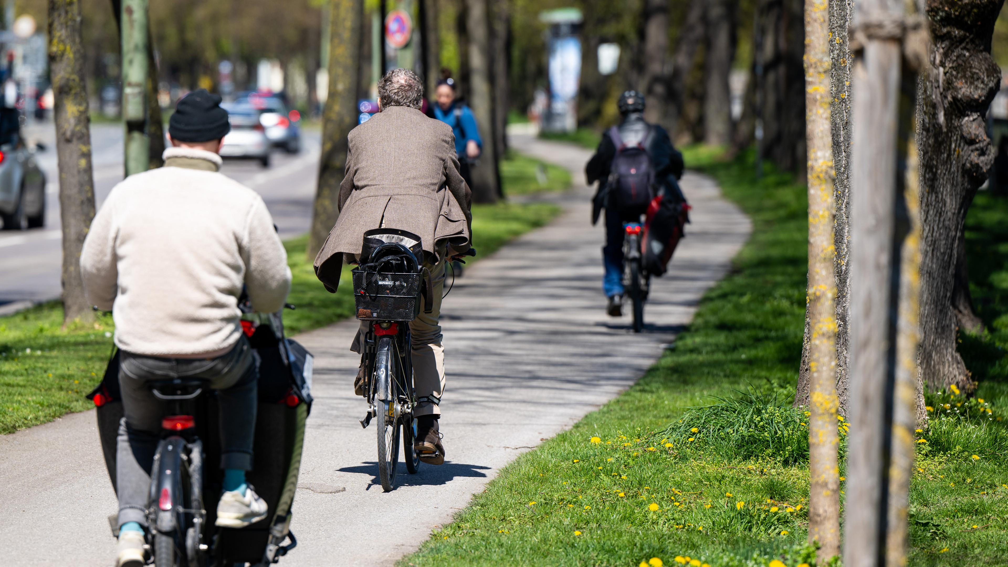 Bayern, München: Fahrradfahrer radeln auf einem Radweg durch eine Allee.