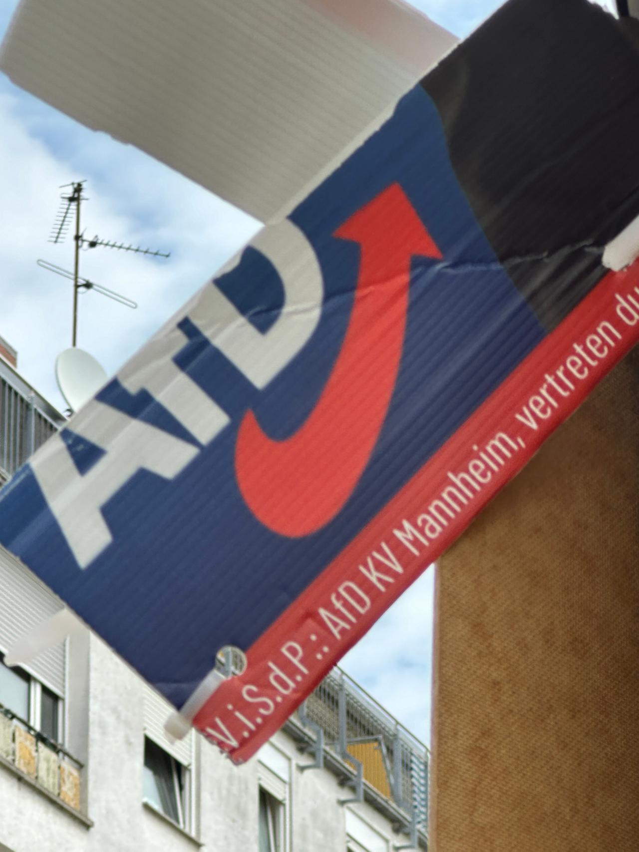 AfD Mannheim