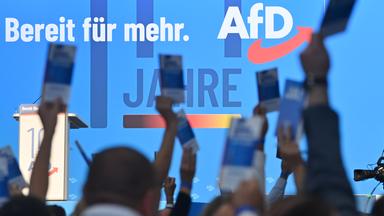 Standpunkte - Bericht Vom Parteitag Der Afd In Magdeburg