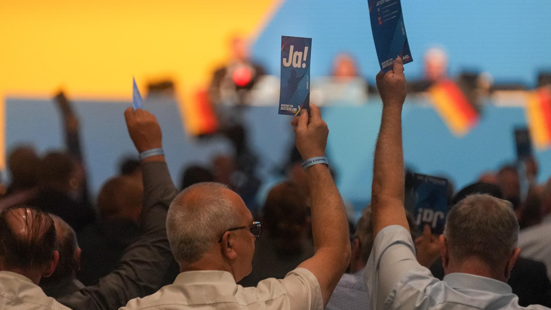Delegierte stimmen ab auf AfD-Parteitag in Erfurt