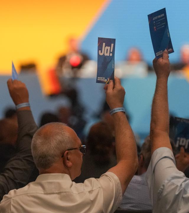 Delegierte stimmen ab auf AfD-Parteitag in Erfurt