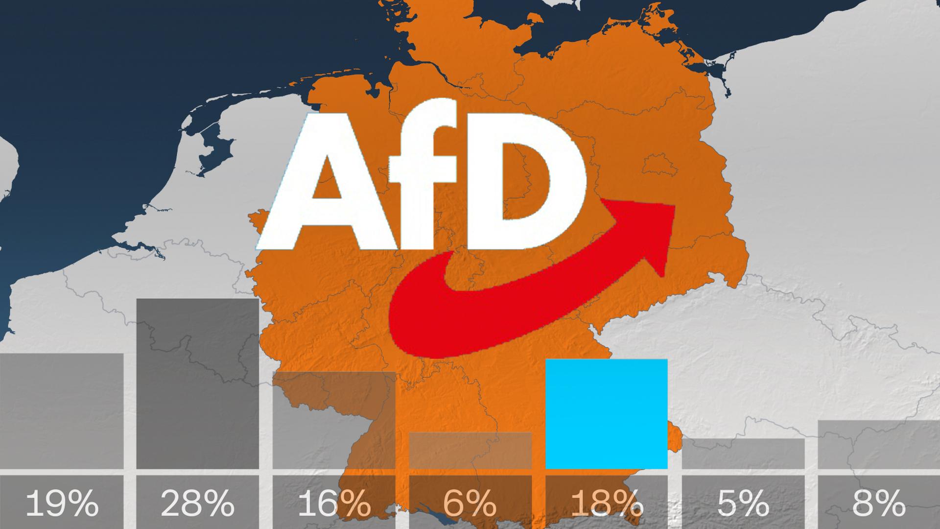 Warum die AfD gerade so erfolgreich ist - eine Analyse - ZDFheute