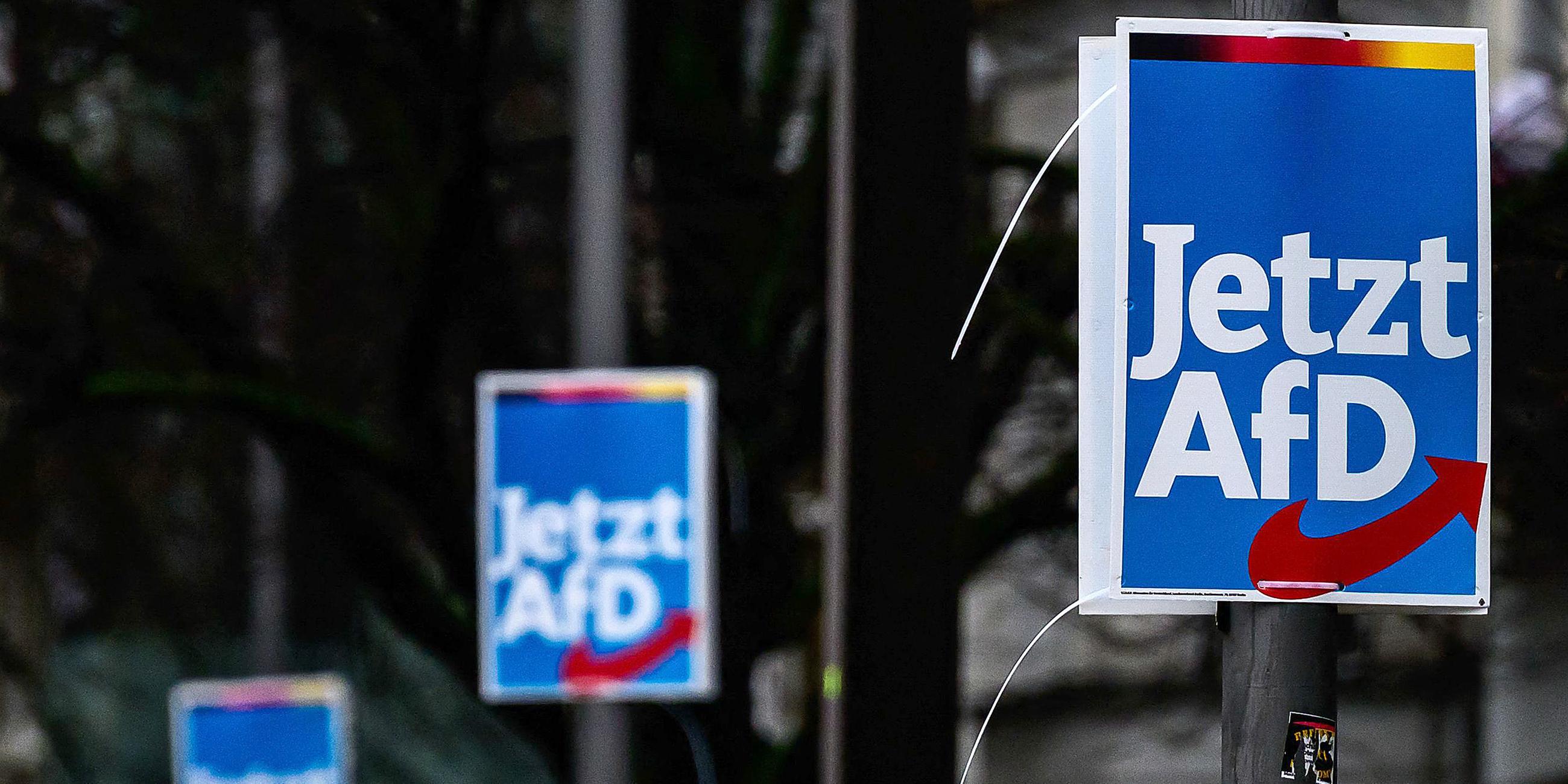 Ein Wahlplakat der AfD in Berlin